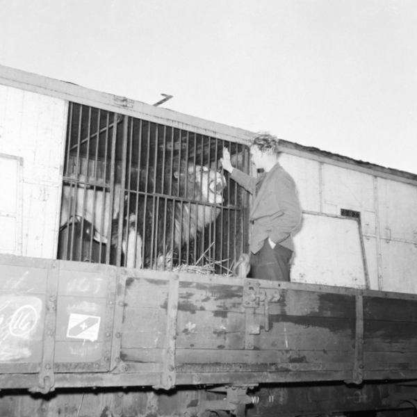 DK12624
