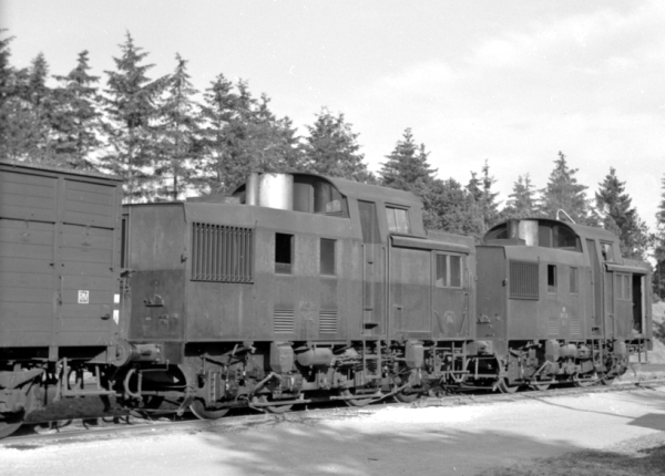 DK13833