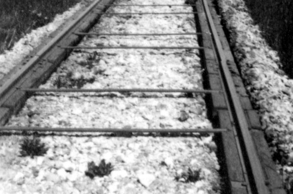 DK15460