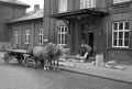 DK15545